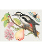 Pomegranate Celebration Notecards - Flowers, Birds & Butterflies