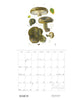Mushrooms: Alexander Viazmensky 2027 Pomegranate Wall Calendar