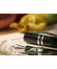 Visconti Homo Sapiens Limited Edition Fountain Pen - Tuscan Hills
