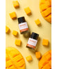 Nahvalur Explorer Fountain Pen Ink - Various Colours