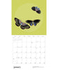 Butterflies 2027 Pomegranate Wall Calendar