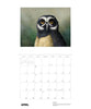 Owls: Jeannine Chappell 2027 Pomegranate Wall Calendar