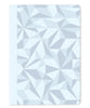 Caran d'Ache Special Edition A5 Notebook - Alpine Frost