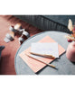 Faber-Castell Poly Ball Urban Ballpoint Pen - Pale Rose