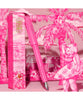 Ferris Wheel Press The Carousel Fountain Pen - Malibu Blush