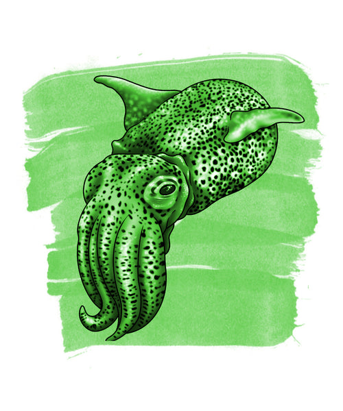 Anderillium Fountain Pen Ink - Bobtail Squid Green