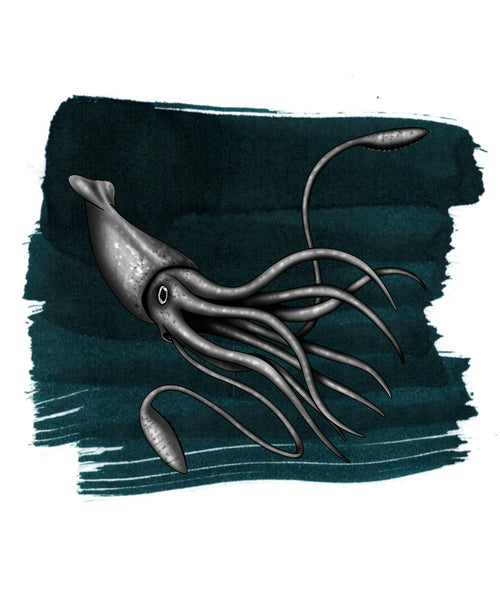 Anderillium Fountain Pen Ink - Colossal Squid Dark