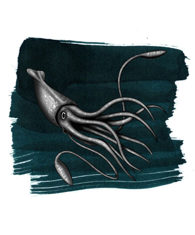 Anderillium Fountain Pen Ink - Colossal Squid Dark