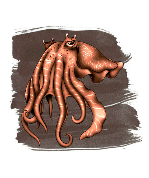 Anderillium Fountain Pen Ink - Cuttlefish Brown