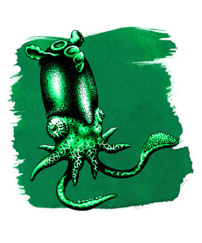 Anderillium Fountain Pen Ink - Spirula Green