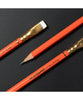Blackwing ERAS Limited Edition Palomino Pencils (Box of 12) - Orange