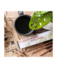 Blackwing Volumes 200 Limited Edition Palomino Pencils (Box of 12)