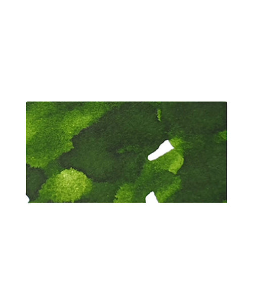 Dominant Industry Standard Fountain Pen Ink - Leaf Green