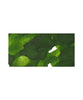Dominant Industry Standard Fountain Pen Ink - Leaf Green