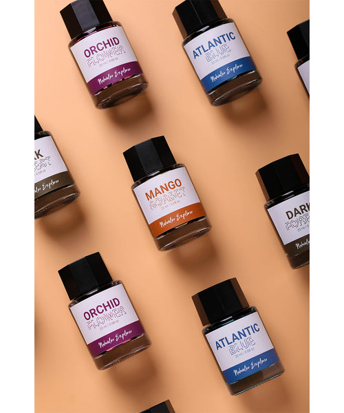 Nahvalur Explorer Fountain Pen Ink - Various Colours