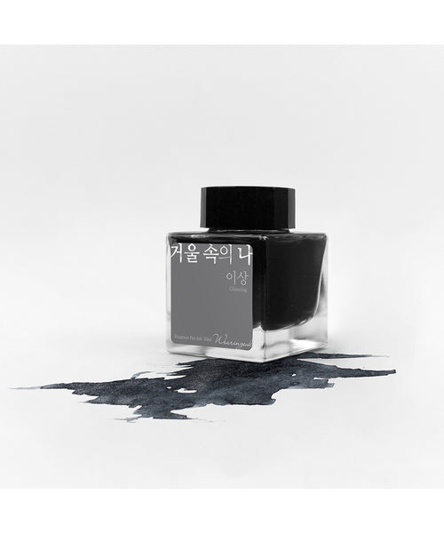 Wearingeul Fountain Pen Ink - Me In The Mirror